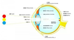 背景调研：中国健康照明任重道远